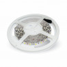 LED Лента SMD5050 - 60/1 24V Неутрално Бяла Светлина IP20 - 2459